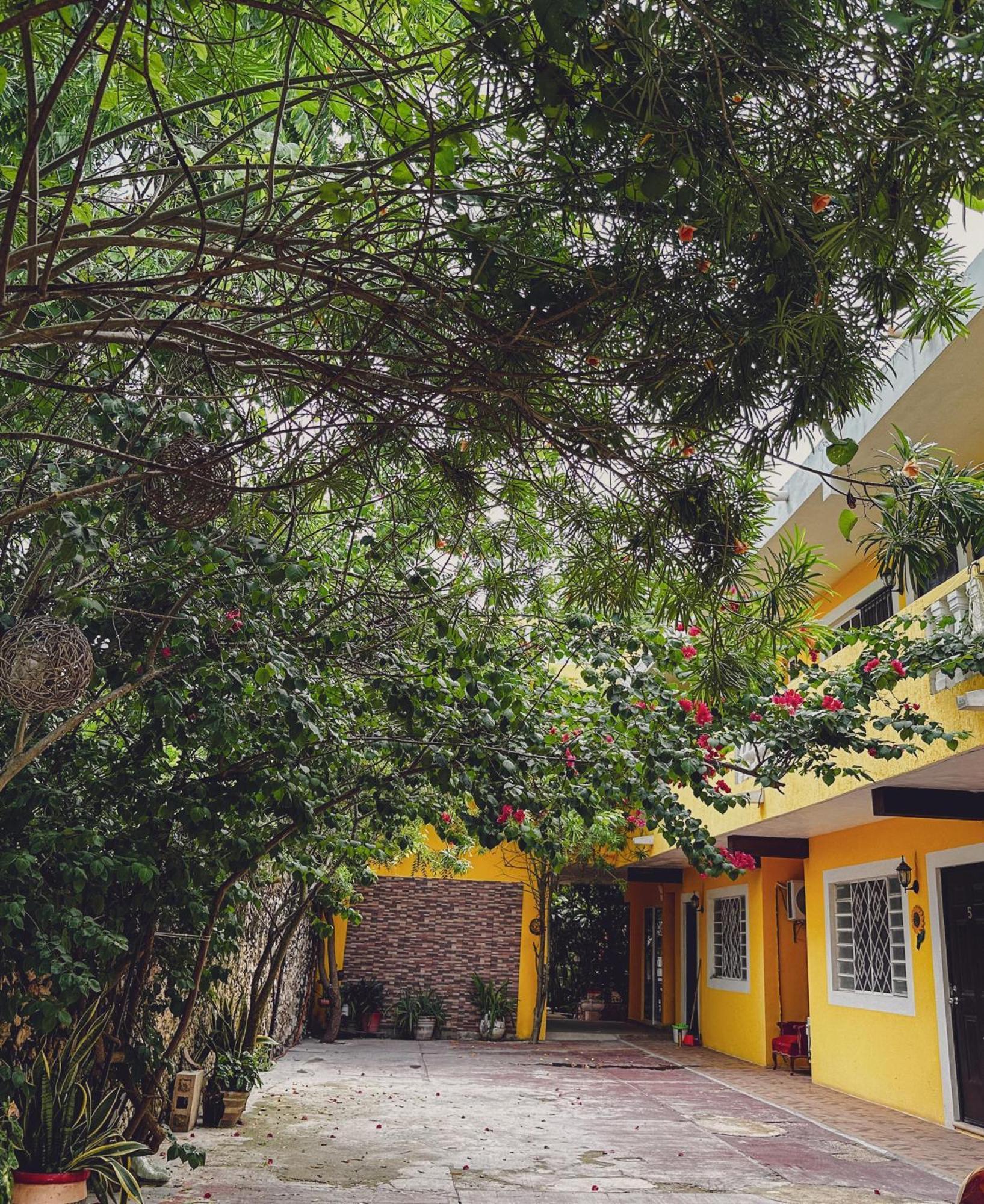 Casa Daniels Guesthouse Valladolid Kültér fotó