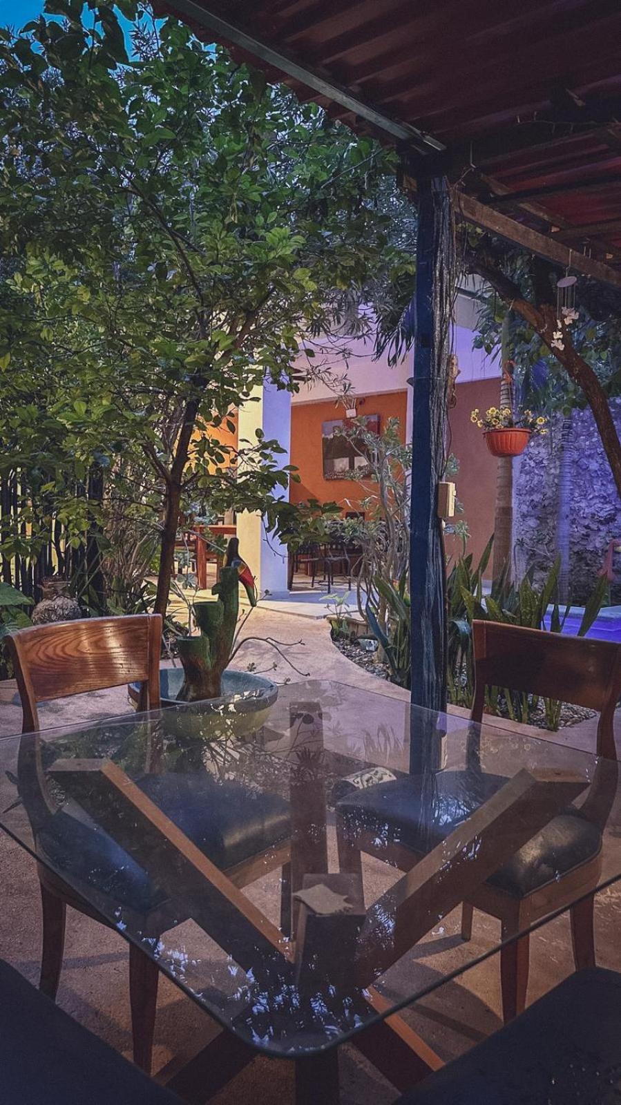 Casa Daniels Guesthouse Valladolid Kültér fotó